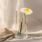 12 Pack 10" Tall Heavy Duty Clear Cylinder Glass Flower Vases Pro Linens