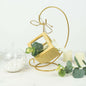 2 Pack 10" Tall Gold Metal Air Plant Terrarium Stand, Hanging Ornament Display Holder Pro Linens