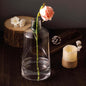 2 Pack 12" Tapered Neck Clear Glass Flower Bud Vase Centerpieces Pro Linens