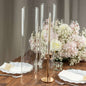 2 Pack Clear 18" Candelabra Candle Holder Glass Shade, Open End Hurricane Candle Shade, Pillar Candle Shade Pro Linens