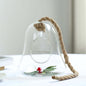 9" Air Plant Hanging Glass Bell Shaped Terrarium With Twine Rope, Free-Falling Planter Pro Linens