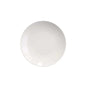 Blue and White Round Plastic Plates - Botanical Plate Pro Linens