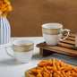 Elegant Tea Cup Bone china PRO Indian