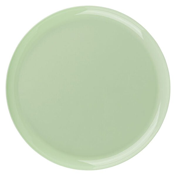 Mint Green Round Plastic Plates 10 Pack - Edge Plate Pro Linens