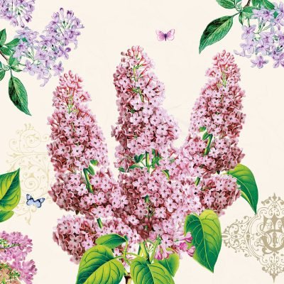 Syringa Floral Lunch Napkin - 20 Pack Lunch Napkins Pro Linens