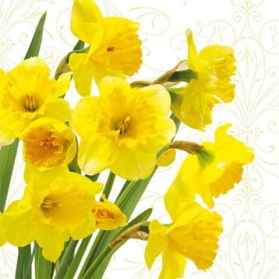 Yellow Daffodils Floral Lunch Napkin - 20 Pack - Pro Linens